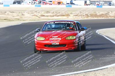 media/Jan-25-2025-CalClub SCCA (Sat) [[03c98a249e]]/Race 4/